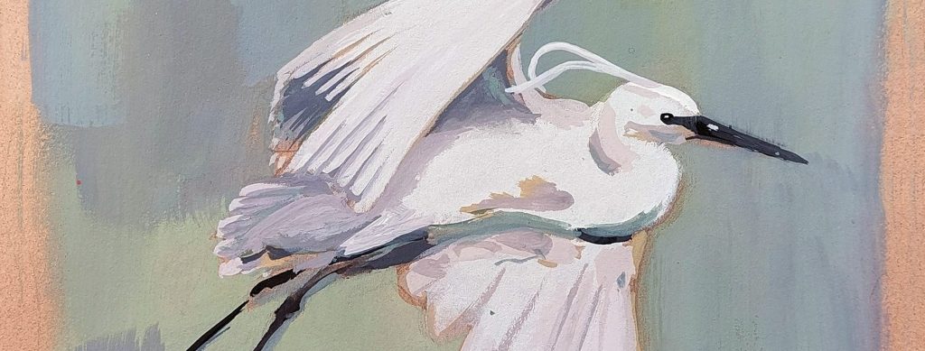 marion ferre illustracion mardrid